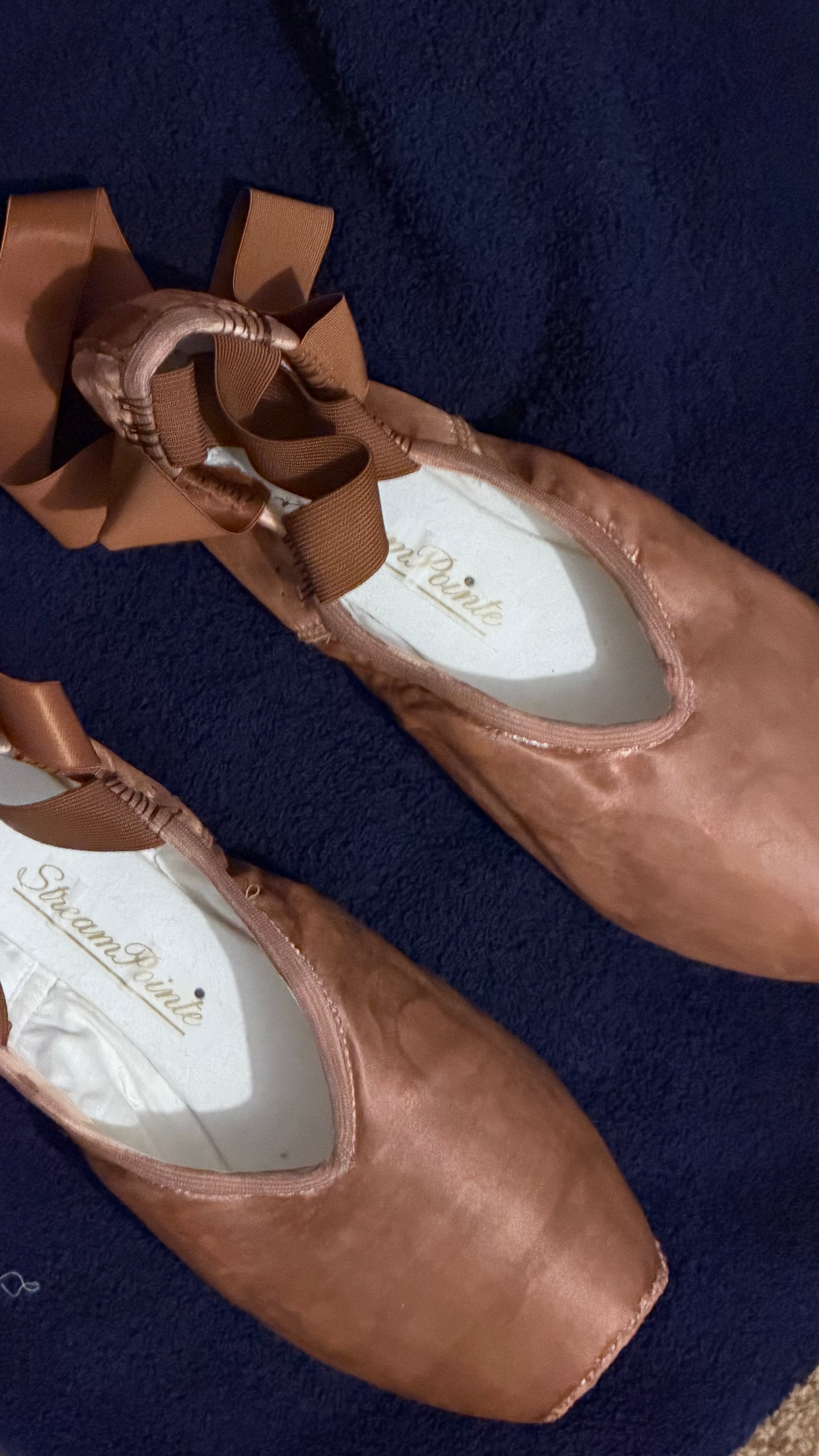Signed Pointe Shoes (Peterborough Celebrates)