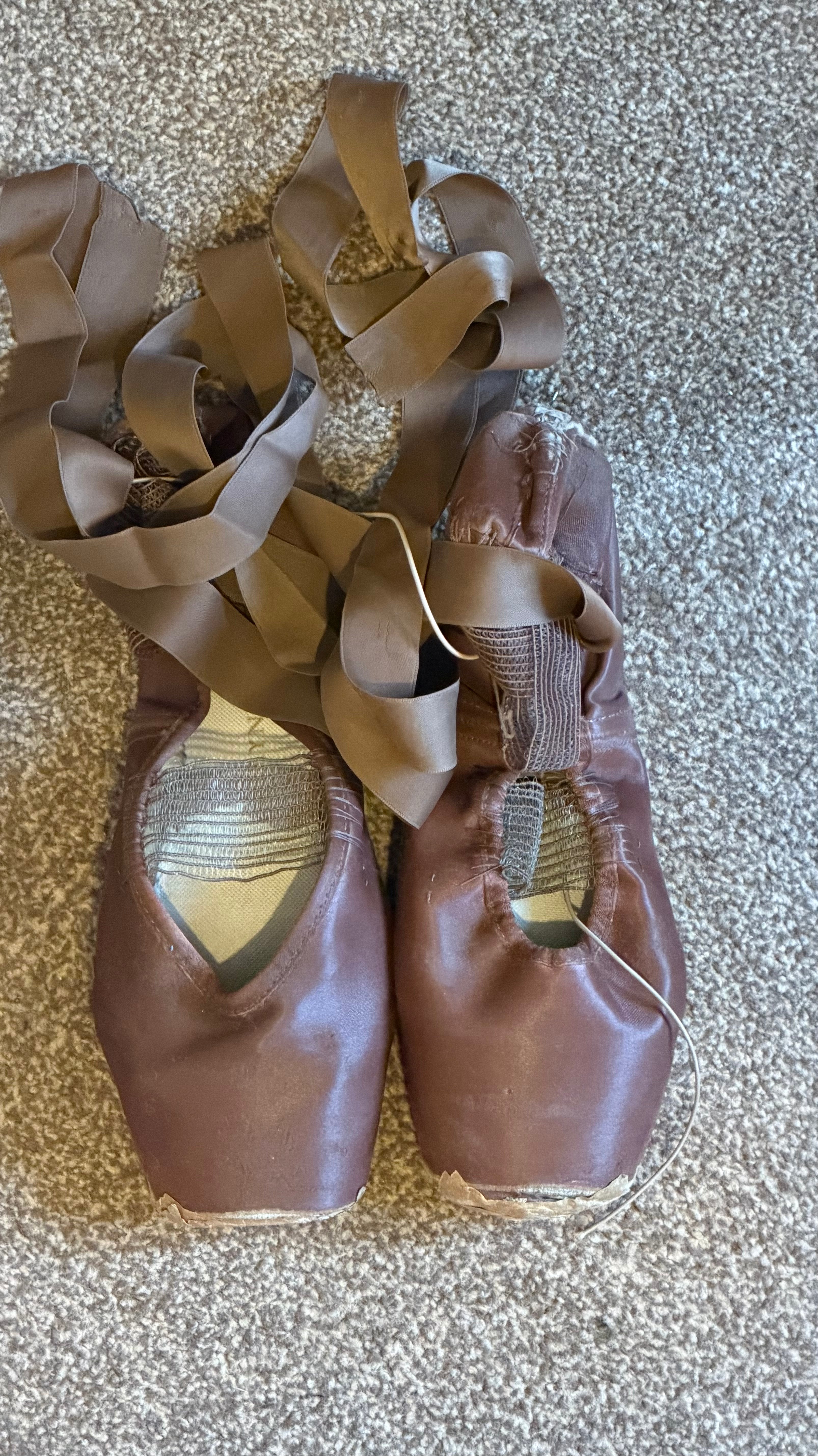 Signed Pointe Shoes with Print