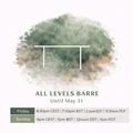 All Levels Barre